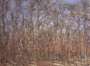 Ferdinand Hodler, The Beech Forest (nn02)